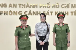 Diễn viên Trương Ngọc Ánh đối diện với mức án như thế nào?