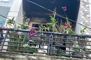 Căn nhà bị cháy