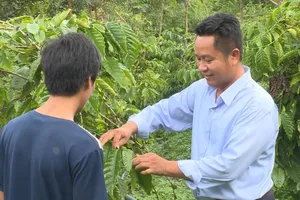 Tiến sĩ Phạm Công Trí hướng dẫn bà con xã Quảng Hoà xử lý sự cố. Ảnh: PHÚC NGUYỄN