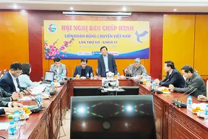 Liên đoàn bóng chuyền Việt Nam là một trong những tổ chức xã hội nghề nghiệp hoạt động chưa hiệu quả.