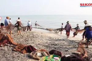 Kéo “lưới rồng” bắt 2 tấn cá ở Huế