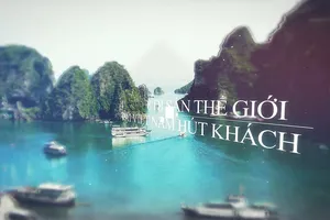 8 di sản thế giới tại Việt Nam hút khách