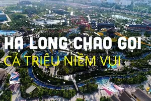 Top những trải nghiệm nhất định phải thử khi đến thành phố di sản Hạ Long