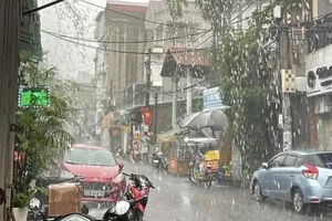 Podcast bản tin trưa 10-1: Khu vực Bắc Bộ và Bắc Trung Bộ trời rét, vùng núi có nơi dưới 10 độ C;