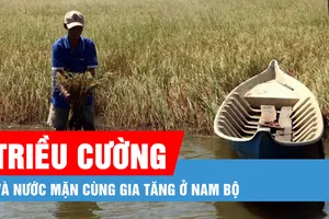 Podcast bản tin tối 28-2: Triều cường và nước mặn cùng gia tăng ở Nam bộ