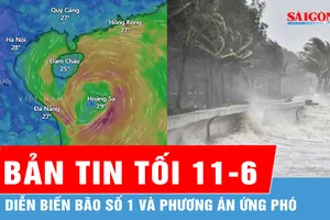 Bản tin tối 11-6: Diễn biến bão số 1 và phương án ứng phó