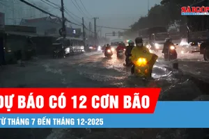 Podcast bản tin tối 15-6: Nắng nóng kéo dài đến tháng 8, mưa lớn dồn về cuối năm