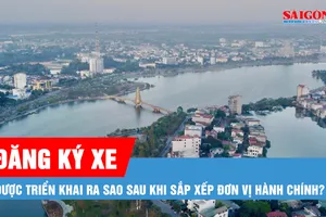 Podcast bản tin trưa 16-6: Sắp xếp một số địa phương, đăng ký xe, biển số xe được xác định ra sao?