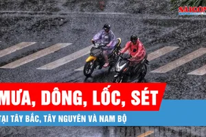 Podcast bản tin trưa 24-6: Tây Bắc và Tây Nguyên, Nam Bộ tiếp tục có mưa rào