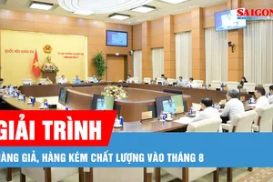 Podcast bản tin tối 10-7: Tháng 8 sẽ tổ chức phiên giải trình về thuốc giả, thực phẩm giả