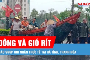 Podcast bản tin tối 21-7: Dự báo bão Wipha rất mạnh, di chuyển nhanh, nguy hiểm