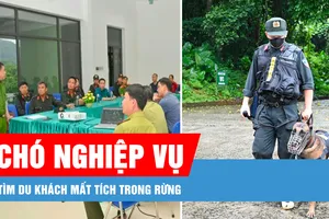 Podcast bản tin tối 17-8: Huy động phương tiện, chó nghiệp vụ tìm du khách mất tích trong rừng Cúc Phương
