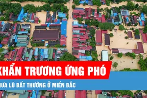 Podcast bản tin tối 21-8: Ứng phó mưa lũ bất thường ở miền Bắc