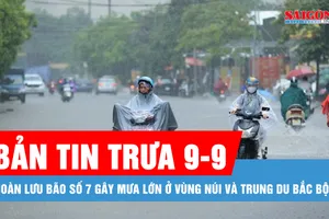 Bản tin trưa 9-9: Hoàn lưu bão số 7 gây mưa lớn ở vùng núi và trung du Bắc bộ
