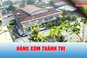 Podcast: Hàng xóm thành thị