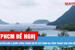 TPHCM đề nghị chuyển hơn 2.000m² rừng phòng hộ để xây dựng hạ tầng Côn Đảo