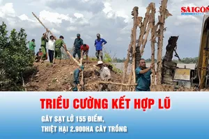 Podcast bản tin tối 25-10: Triều cường kết hợp lũ gây sạt lở 155 điểm, thiệt hại 2.900ha cây trồng