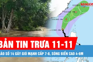 Bản tin trưa 11-11: Bão số 14 gây gió mạnh cấp 7-8, sóng biển cao 4-6m