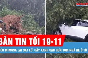 Bản tin tối 19-11: Đèo Mimosa lại sạt lở, cây xanh cao hơn 10m ngã đè ô tô