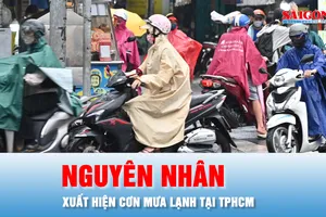 Podcast bản tin trưa 4-12: Nguyên nhân xuất hiện cơn mưa lạnh tại TPHCM sáng nay