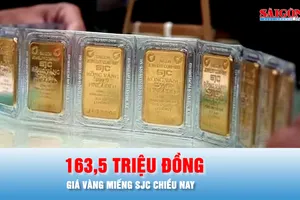 Podcast bản tin tối 14-1: Giá vàng trong nước tiếp tục đà tăng 