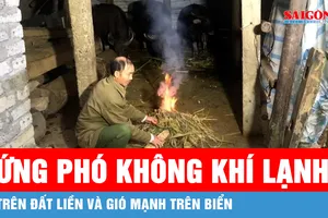 Đề nghị 32 địa phương ứng phó không khí lạnh trên đất liền và gió mạnh trên biển