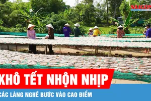 ĐBSCL: Nhộn nhịp sản xuất khô cá, tôm dịp Tết