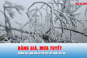 Podcast bản tin trưa 25-1: Không khí lạnh có thể tiếp tục gây rét đậm, rét hại kèm băng giá