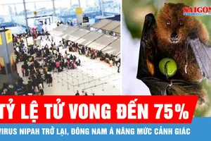 Virus Nipah trở lại, Đông Nam Á đồng loạt nâng mức cảnh giác
