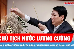 Chủ tịch nước thắp hương tưởng nhớ các đồng chí nguyên lãnh đạo Đảng, Nhà nước