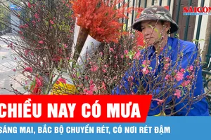 Chiều và tối 30-1, miền Bắc có mưa do không khí lạnh