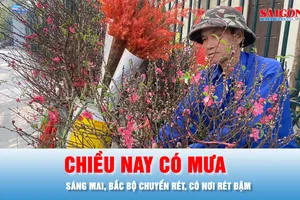 Podcast bản tin trưa 30-1: Miền Bắc có mưa do không khí lạnh