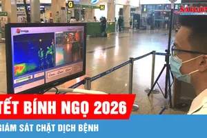 Giám sát chặt dịch bệnh trong dịp Tết Bính Ngọ 2026