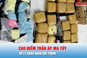 Podcast bản tin tối 31-1: Công an "xóa sổ" nhiều vụ liên quan ma túy, xử lý hàng ngàn đối tượng