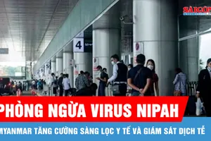 Myanmar tăng cường sàng lọc y tế và giám sát dịch tễ phòng ngừa virus Nipah