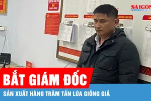 Đắk Lắk: Bắt giám đốc sản xuất hàng trăm tấn lúa giống giả