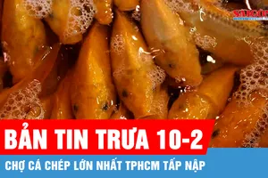 Bản tin trưa 10-2: Chợ cá chép lớn nhất TPHCM tấp nập ngày đưa ông Công ông Táo