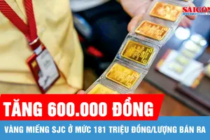 Giá vàng miếng SJC tái lập mốc 181 triệu đồng/lượng