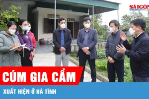 Hà Tĩnh: Xuất hiện dịch cúm gia cầm H5N1, phòng ngừa lây sang người