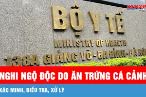 Xác minh, điều tra, xử lý vụ 13 người nghi ngộ độc thực phẩm do ăn trứng cá cảnh