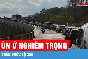 Lâm Đồng: Ùn ứ nghiêm trọng trên Quốc lộ 28B