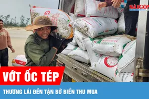 Đổ xô ra biển vớt ốc tép