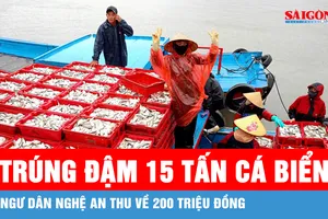 Ngư dân Nghệ An trúng đậm 15 tấn cá biển, thu về 200 triệu đồng