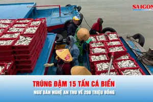 Podcast bản tin chiều 25-2: Ngư dân Nghệ An trúng đậm 15 tấn cá biển, thu về 200 triệu đồng