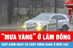 Lâm Đồng xuất hiện “mưa vàng” trên diện rộng