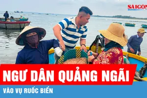Sau tết, ngư dân Quảng Ngãi tất bật vào vụ ruốc 