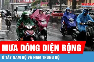 Mưa dông diện rộng ở Tây Nam bộ và Nam Trung bộ, có nơi trên 130mm