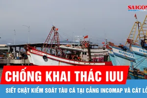 Siết chặt kiểm soát tàu cá tại cảng Incomap và Cát Lở để chống khai thác IUU