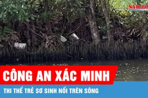 Cà Mau: Công an xác minh thi thể trẻ sơ sinh nổi trên sông
