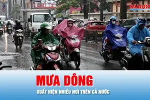 Podcast bản tin trưa 7-3: Mưa dông xuất hiện nhiều nơi trên cả nước
